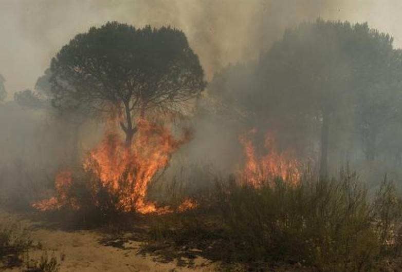 Desalojan por incendio a más de 2 mil en España