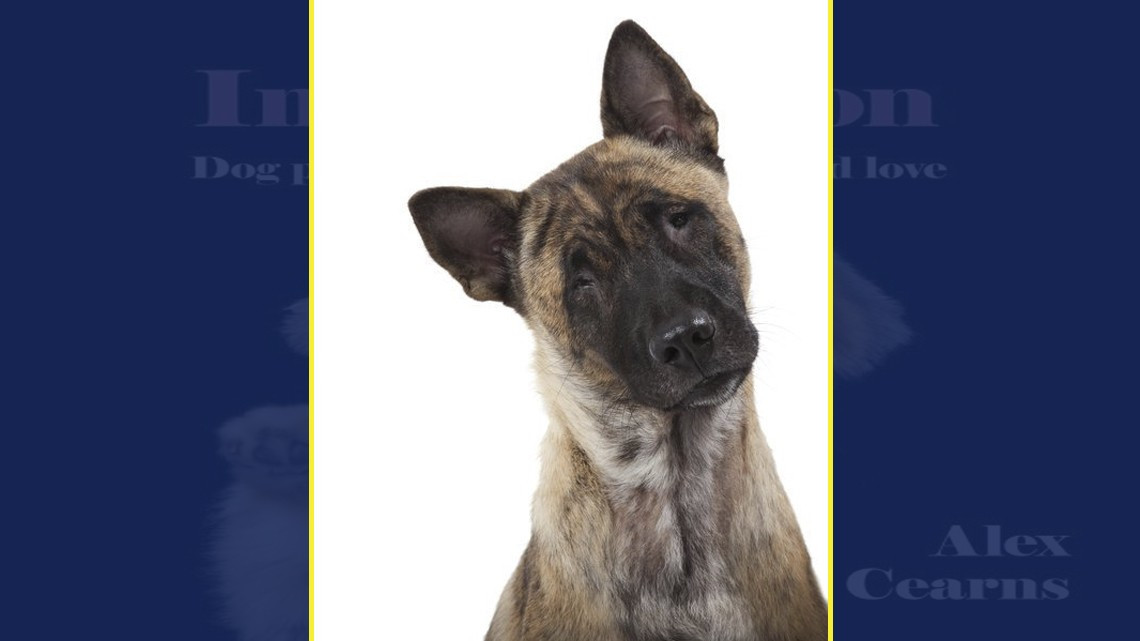 La perfección de los imperfectos