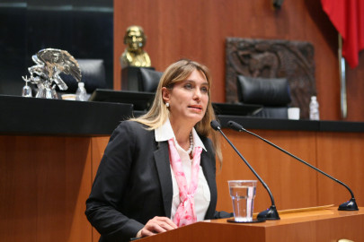 Atentado contra la democracia desaparición de Comité del PAN: Maki Ortiz