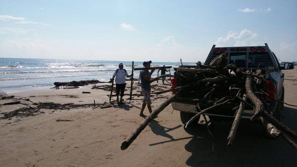 Llega palizada a playa Miramar