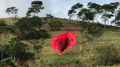 Escultura de vagina causa polémica en Brasil