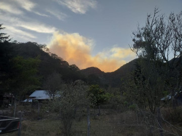 Piden herramientas para sofocar incendio forestal en El Cielo 