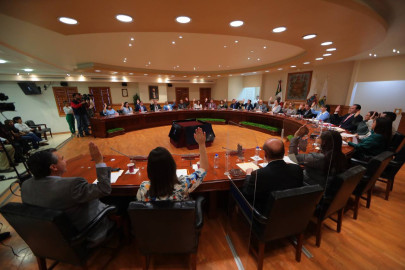 Cabildo aprueba decreto para brindar una vida digna a los animales 