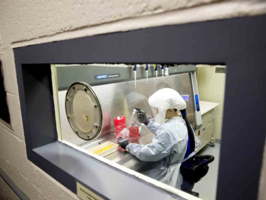 Analizan posibilidad de que COVID-19 se transmita sexualmente