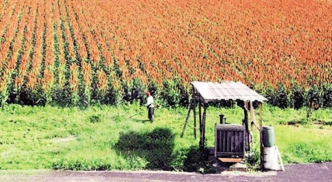 Sin fecha para recurso prometido a sorgueros en San Fernando