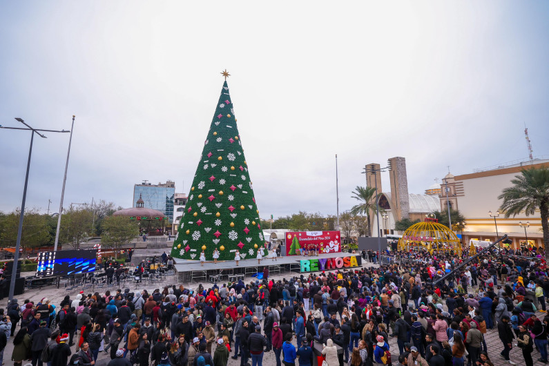 Ilumina el IRCA el Encendido del Pino 2024