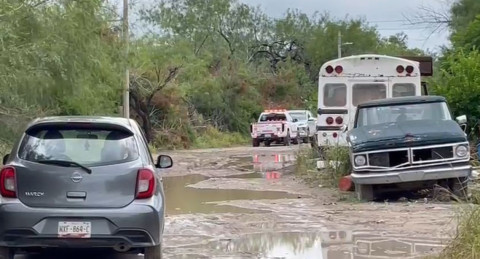 Se intensifica búsqueda de tigre en colonias
