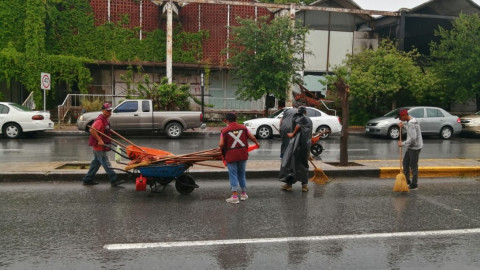 Realiza Espacios Públicos limpieza y reforestación en la Álvaro Obregón, acceso principal de EU a Matamoros