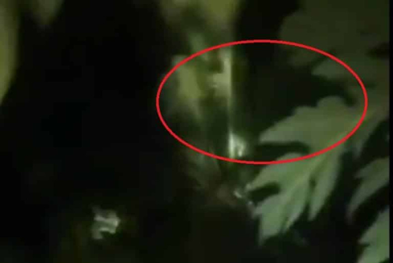 Pobladores intentar cazar un presunto “nahual”