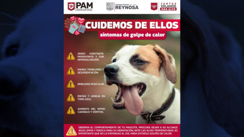 Exhorta Gobierno de Reynosa a cuidar mascotas ante ola de calor