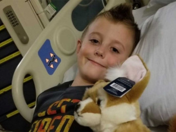 En aumento los casos de mielitis flácida aguda