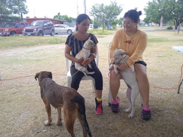 Llevarán programa "EcoPatas" a colonia Unidad Obrera 