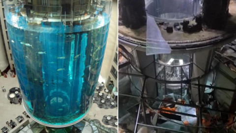 Estalla un acuario gigante en el interior de un hotel de Alemania