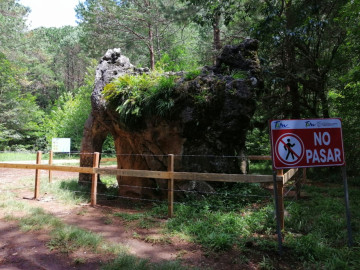 Cercan milenaria piedra “El Elefante” en la Reserva de la Biosfera El Cielo  