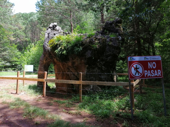 Cercan milenaria piedra “El Elefante” en la Reserva de la Biosfera El Cielo  