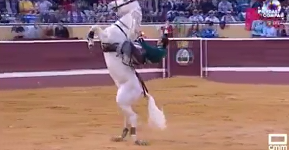 Caballo se roba show en plaza de toros