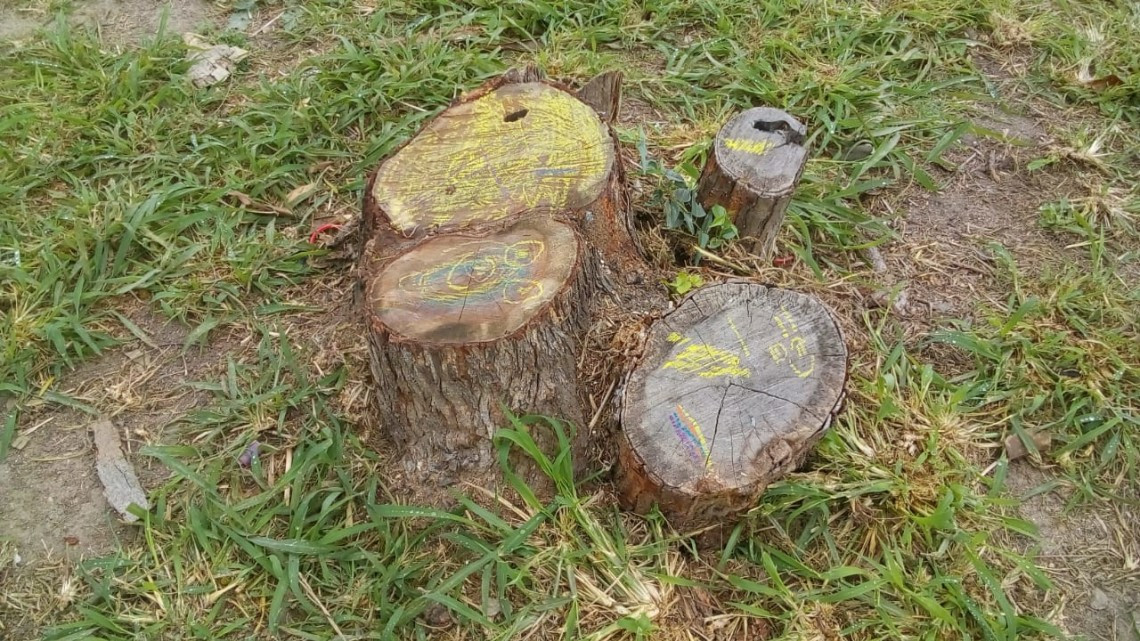 Haremos que deporten a migrantes que talen árboles en el bordo: Mario López