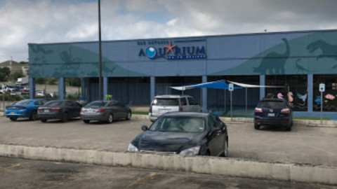 Hombre que robó tiburón de acuario en Texas asegura que quería salvarlo 