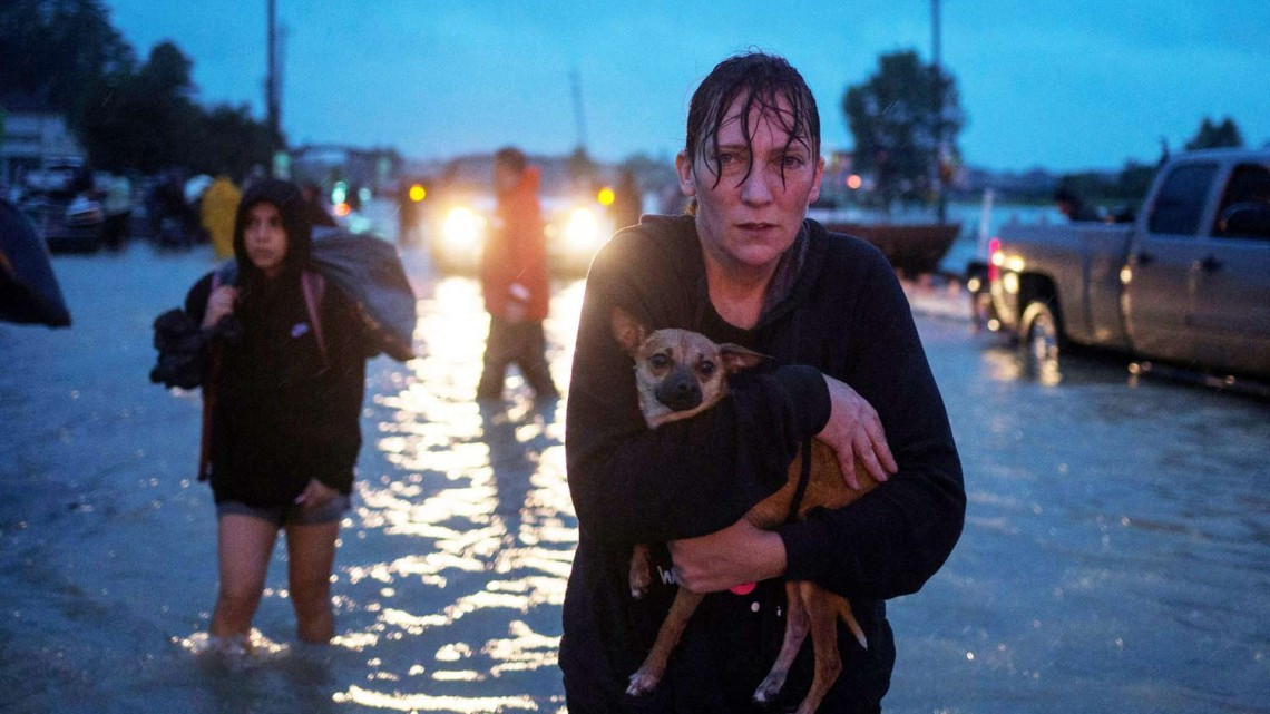 Comienza EU rescate de mascotas victimas de ‘Harvey’