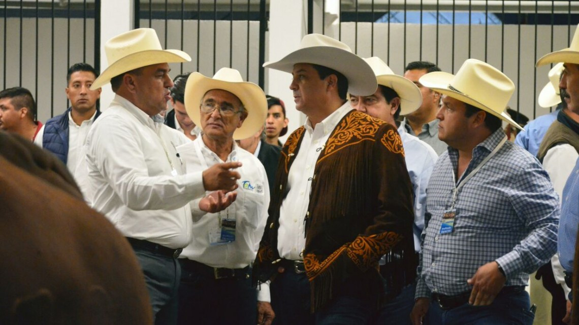 Presentan Primera Muestra Nacional de Beefmaster en Feria Tamaulipas 2017