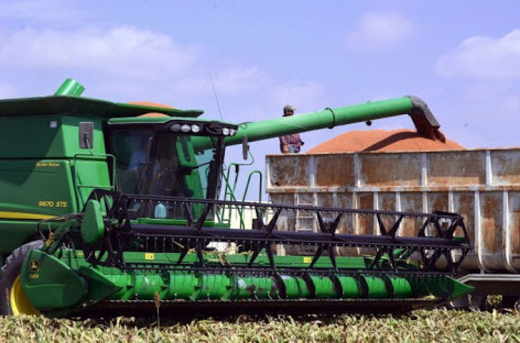 Blindarán cosecha en Tamaulipas