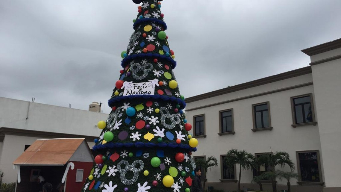 Listos para el encendido del árbol monumental