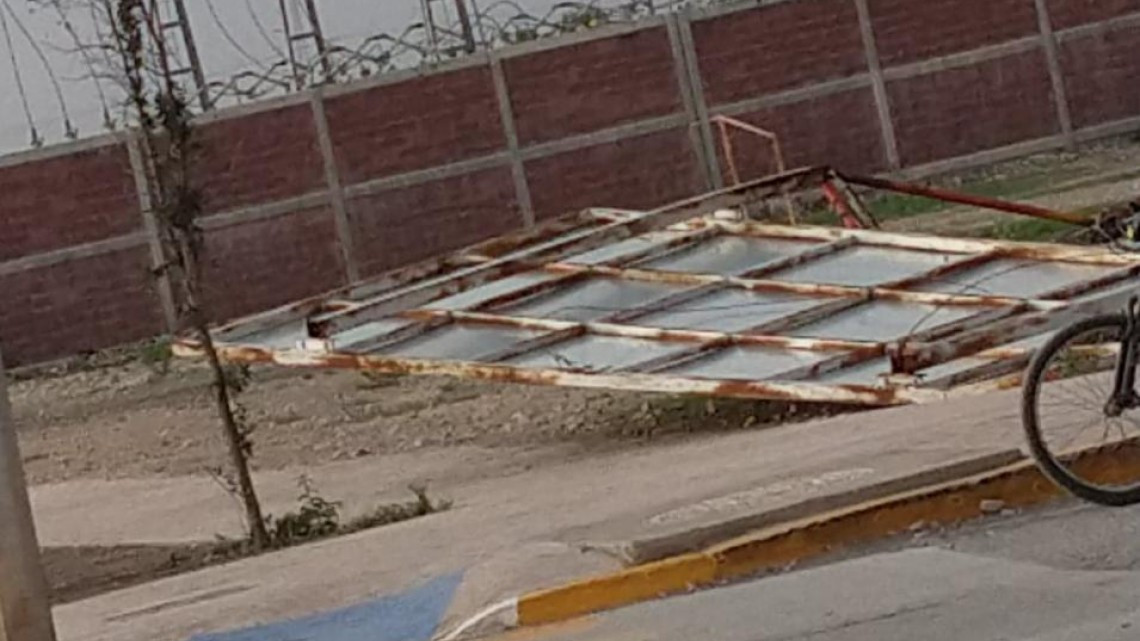 Fuertes rachas de viento provocan caída de una docena de árboles en Victoria