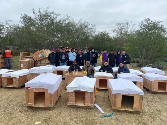 Instalan casas para proteger animalitos en situación de calle ante ola invernal.