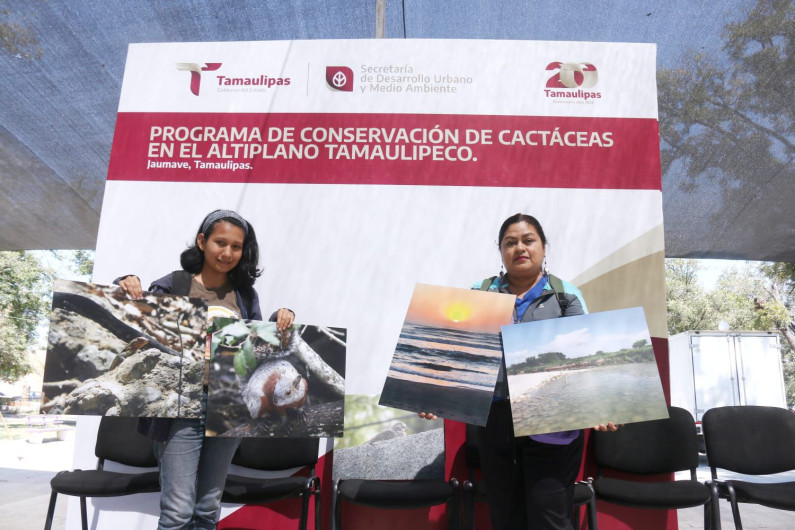 Avanza SEDUMA en la protección de cactáceas en el altiplano tamaulipeco