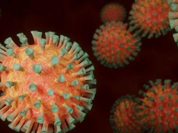 COVID-19 será 10 veces más infeccioso tras mutar