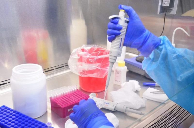 515 nuevos casos de COVID-19 en Tamaulipas 