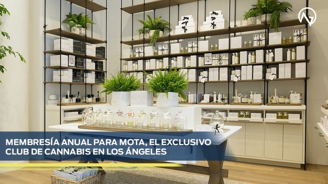 Más de 100 mil dólares en la bolsa de regalo para los nominados a los premios Oscar