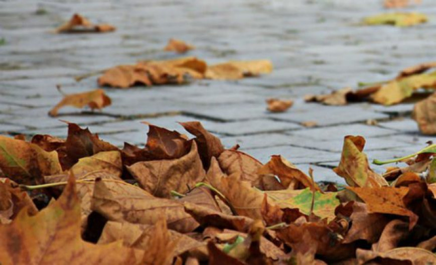 Inicia el otoño 2019, llega el primer frente frío de la temporada