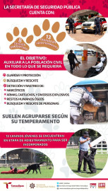 Perros policías apoyan a Guardia Estatal