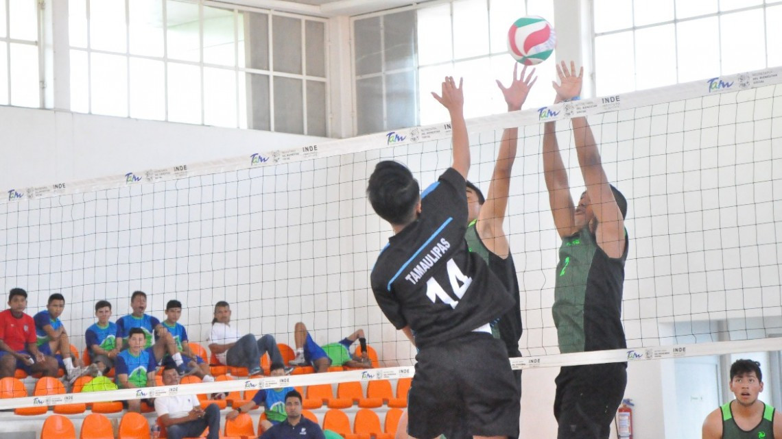 En preparación campamentos de voleibol, baloncesto y softbol