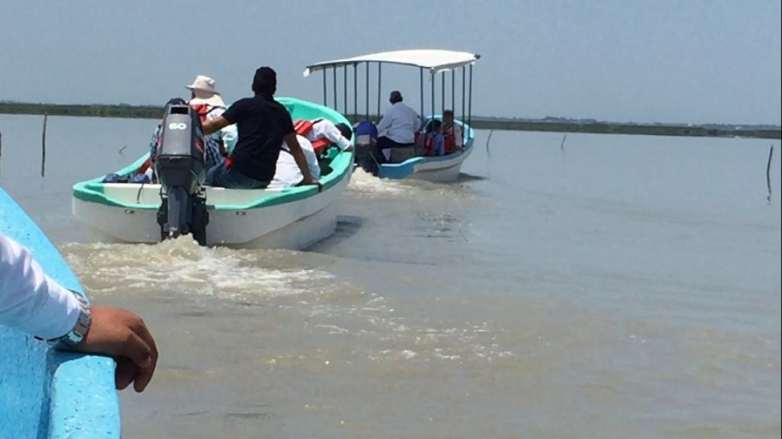 Necesario proyecto de dragado en laguna de Champayán