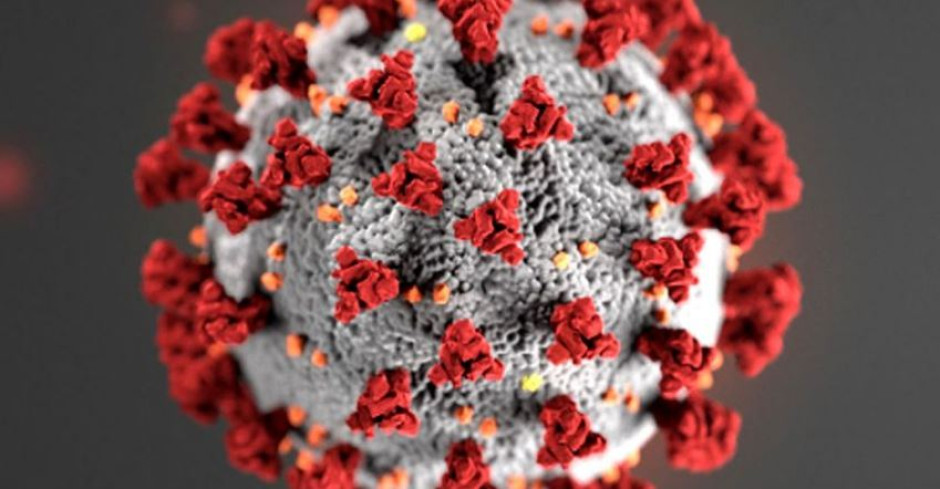 Confirman nuevo caso de coronavirus en el Condado de Willacy