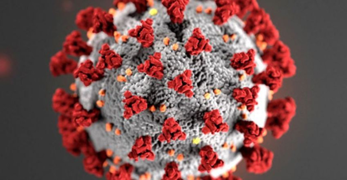 Confirman nuevo caso de coronavirus en el Condado de Willacy