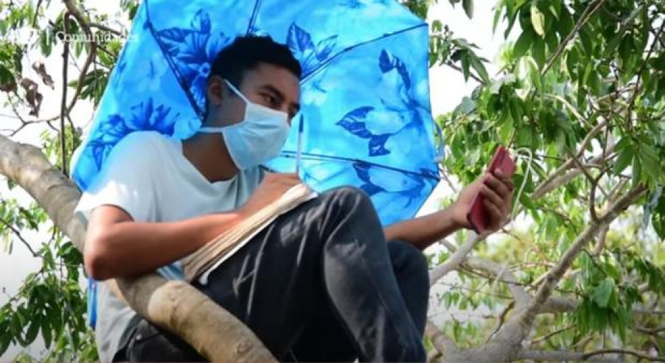 Joven toma clases virtuales desde árbol para tener señal de internet