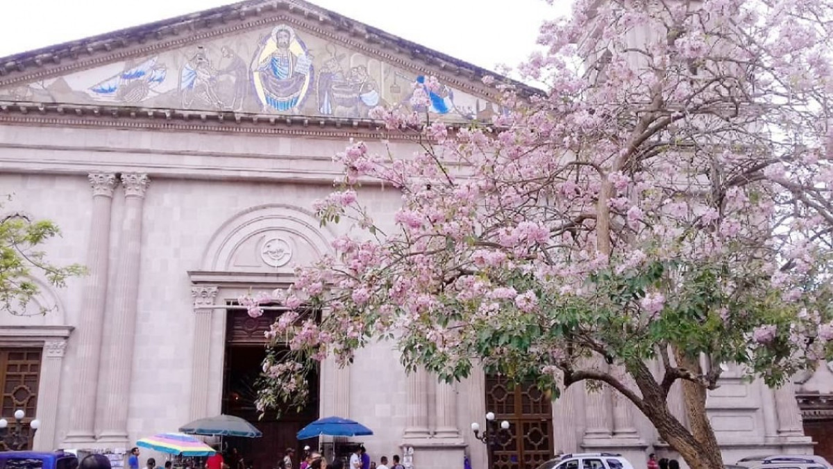 CFE suspenderá energía en zona centro de Tampico por trabajos de mantenimiento