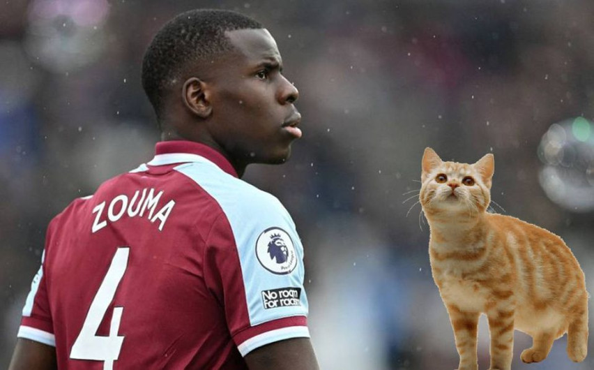 West Ham dona multa de Kurt Zouma a asociaciones a favor de los animales