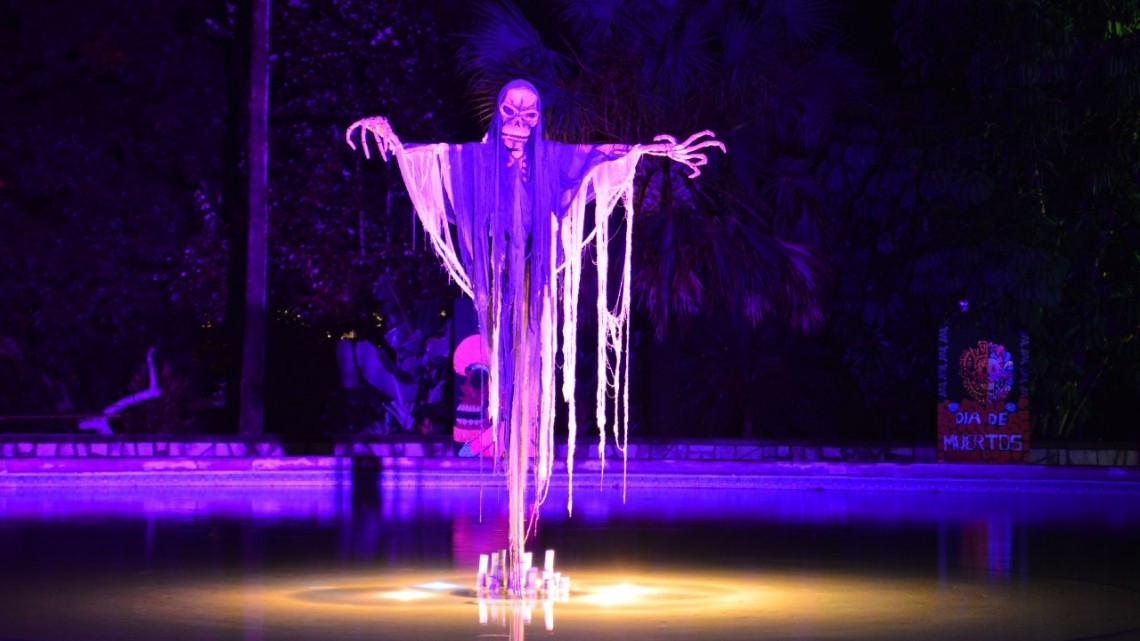  Primera llamada para “Buu en el Zoo”