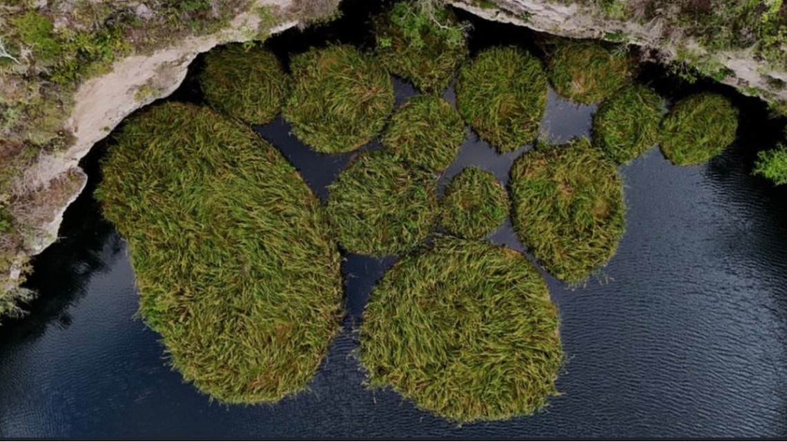 Impacta a visitantes “El Zacatón”, el cenote más profundo del planeta