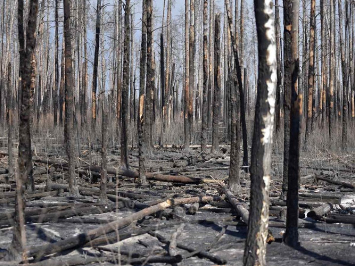 Incendios en bosques aledaños a Chernóbil son apagados