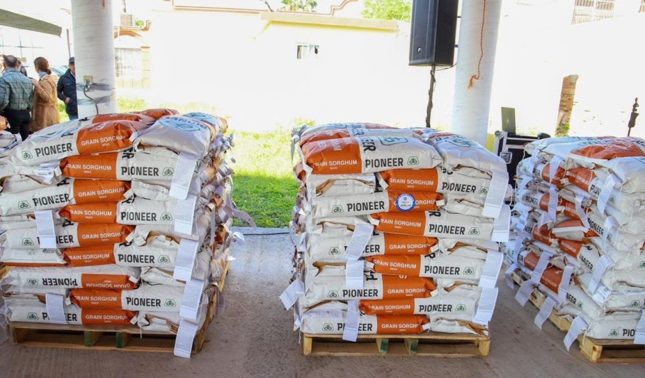 Analizan peticiones de agricultores tras mala cosecha de sorgo