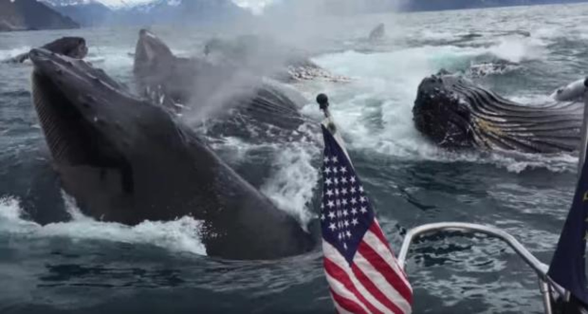 Hombre capta asombroso momento en Alaska