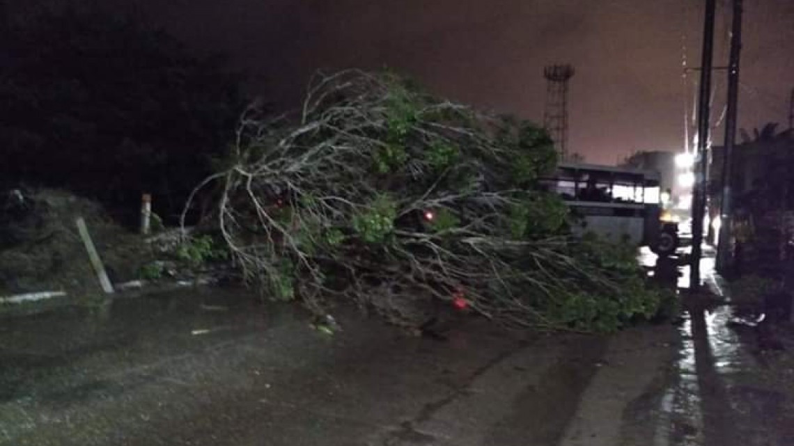 Frente frío no. 10 causa estragos en sur de Tamaulipas 
