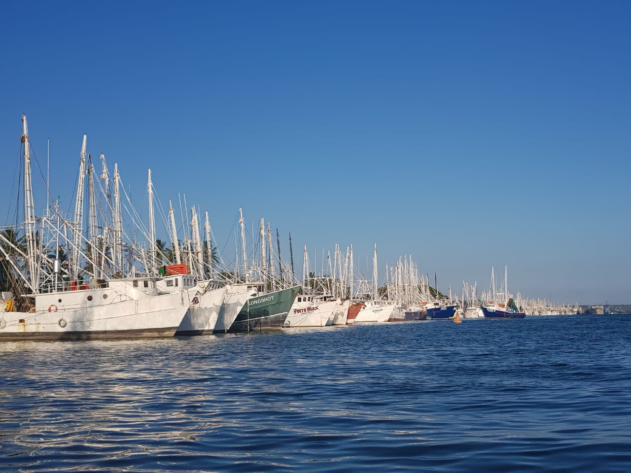 Desfilarán barcos camaroneros por playa de Miramar