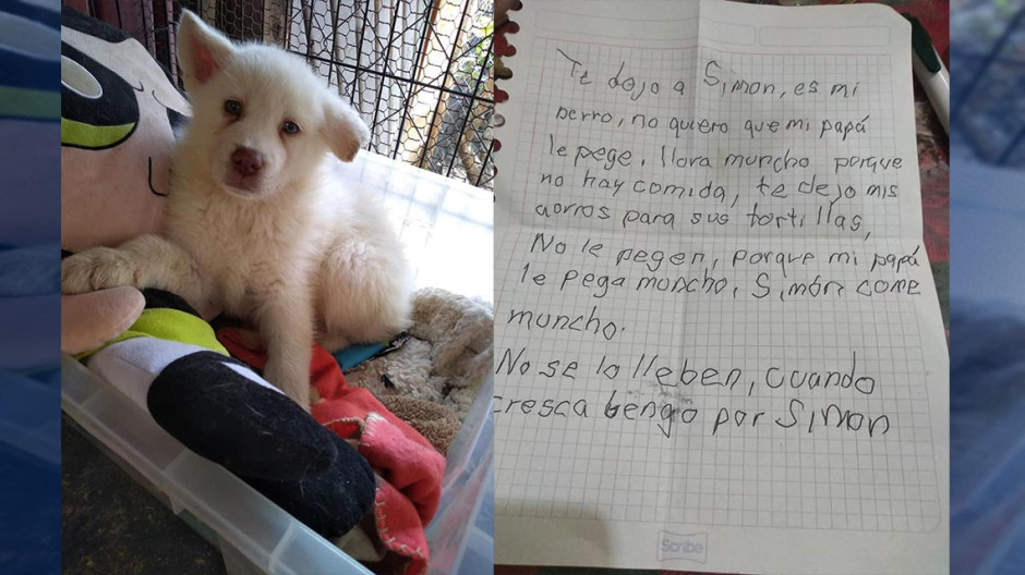 ¡Ternurita! Niño le escribe cartas a perrito que dejó en un refugio 