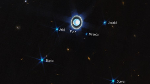 El James Webb de la NASA capta imagen increíble de los anillos de Urano